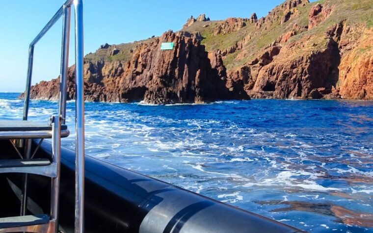 from-porto-piana-creeks-and-scandola-semi-rigid-boat-tour