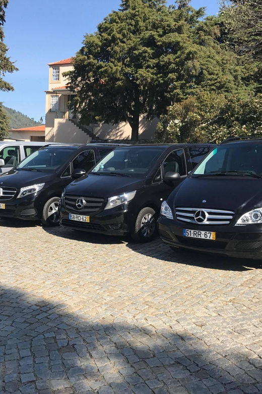 from-porto-premium-douro-valley-small-group-wine-tour