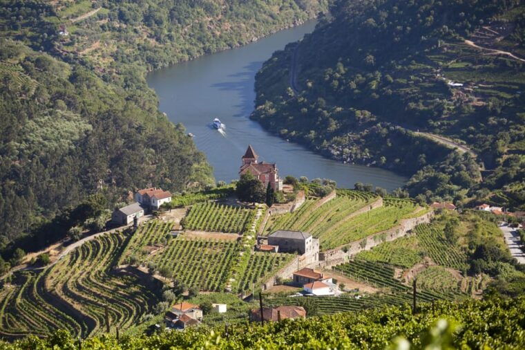 from-porto-premium-douro-valley-small-group-wine-tour