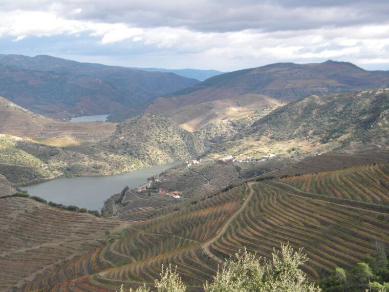 from-porto-private-douro-valley-tour-with-booking-service