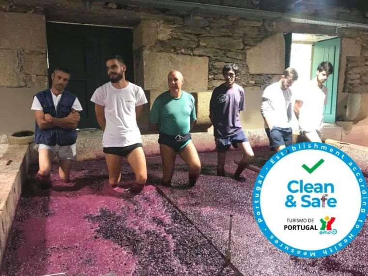 from-porto-private-douro-valley-tour-with-cruise-and-wine