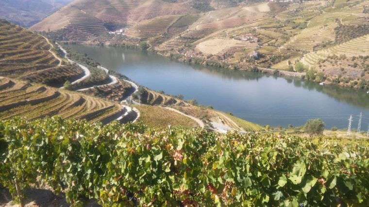 from-porto-private-douro-valley-tour-with-cruise-and-wine