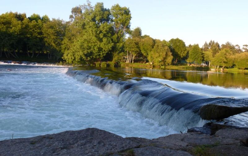 from-porto-private-sightseeing-tour-of-douro-valley