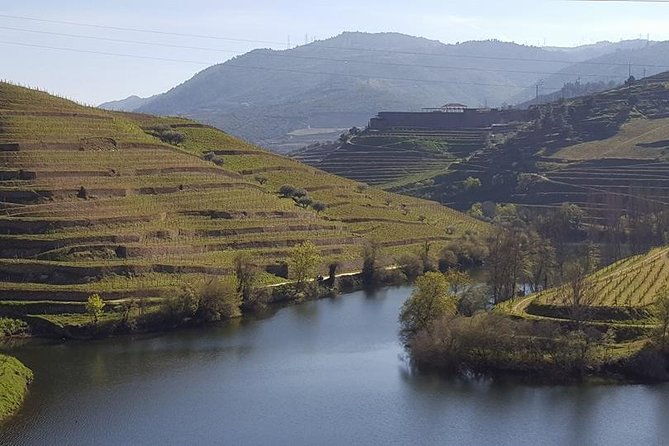 from-porto-private-tour-douro-valley-two-wineries-lunch-and-boat