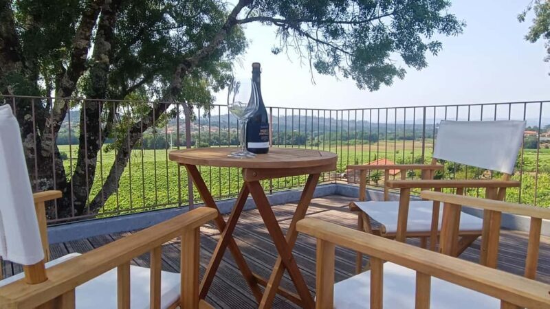 From Porto: Private Vinho Verde wine tour with tasting, lunch, and palace visit. - Practical Details and Considerations