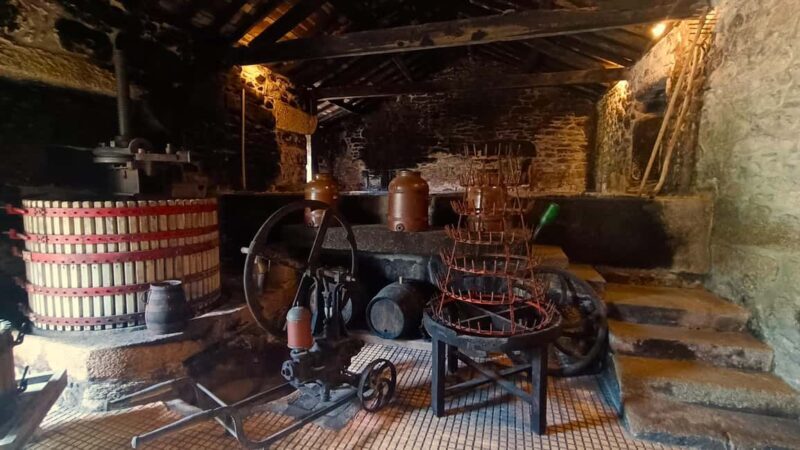 From Porto: Private Vinho Verde wine tour with tasting, lunch, and palace visit. - Final Thoughts: Is This Tour Right for You?