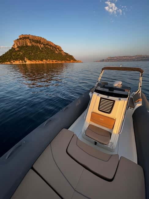 From Porto Rotondo: dinghy snorkeling tour with dolphin sighting - Practical Details and What’s Included