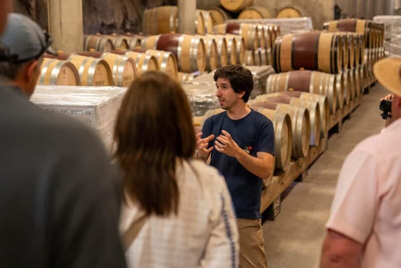 From Porto: Small Group Douro Valley Tour with Wine & Cruise - Final Thoughts