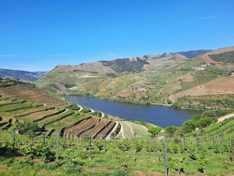 From Porto: small-group guided tour of the Douro Valley and Gerês - A Two-Day Journey Through Portugal’s Natural Wonders