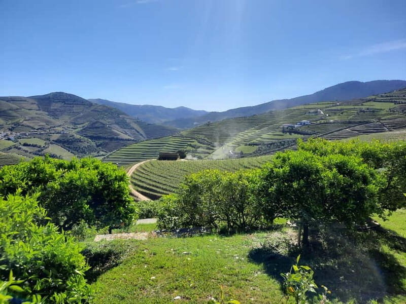 From Porto: small-group guided tour of the Douro Valley and Gerês - Practical Aspects and Considerations