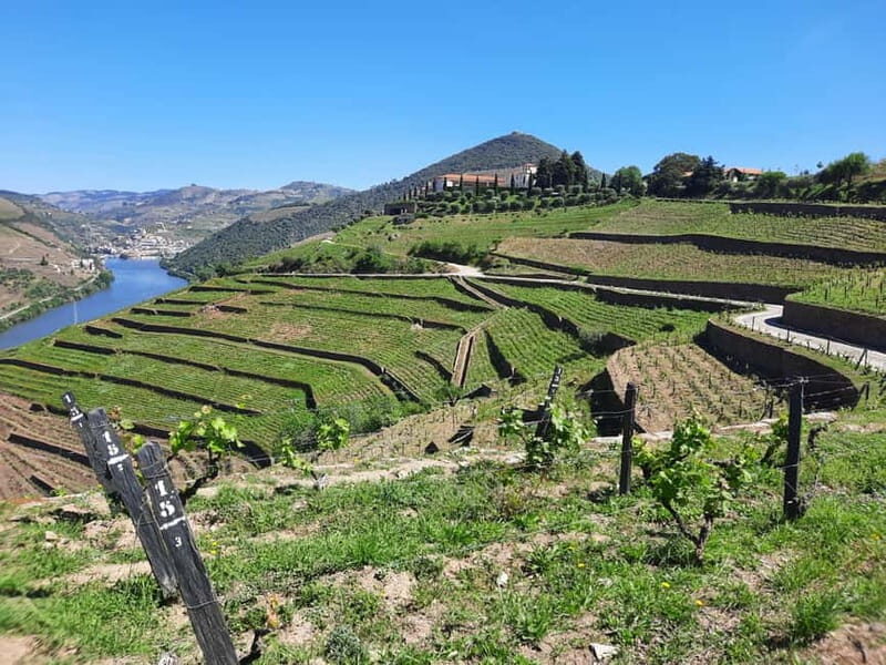 From Porto: small-group guided tour of the Douro Valley and Gerês - Authentic Experiences That Leave a Lasting Impression