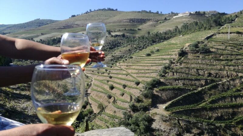 from-porto-tastings-at-2-wineries-chefs-lunch-boat-tour
