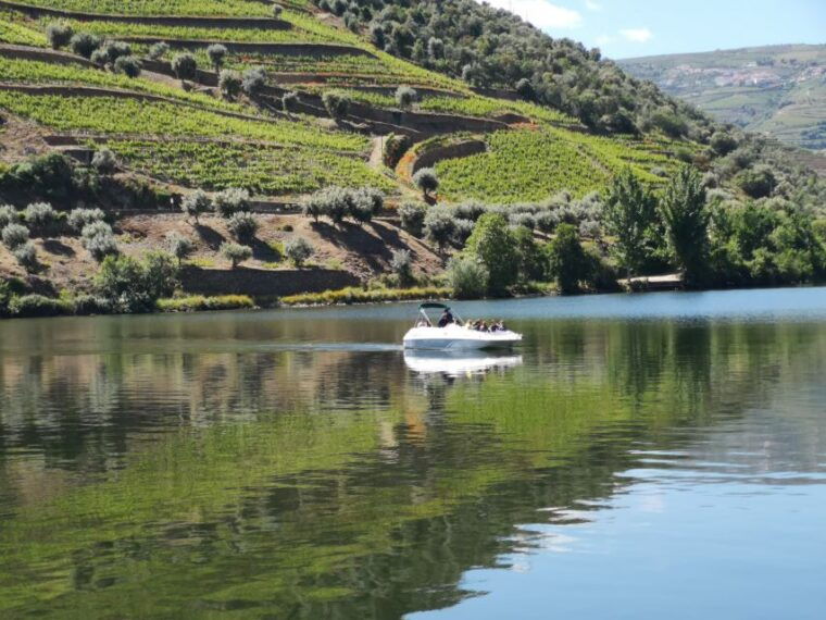 from-porto-tastings-at-2-wineries-chefs-lunch-boat-tour