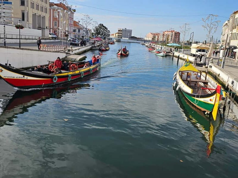 From Porto to Aveiro: Cruise, Aves, Salinas, Costa Nova, and Vista Alegre - Tasting Local Products and a Relaxed Afternoon  