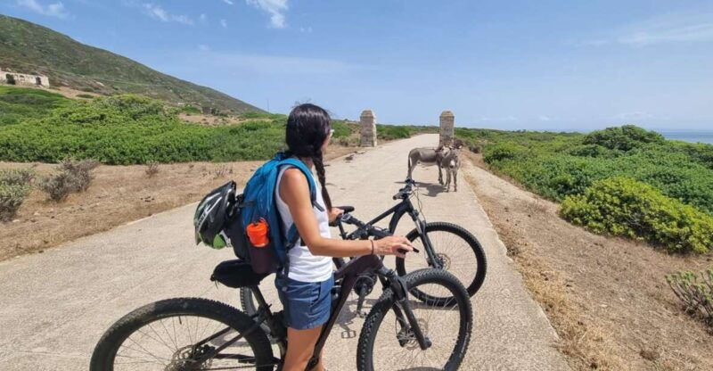 from-porto-torres-e-bike-rental