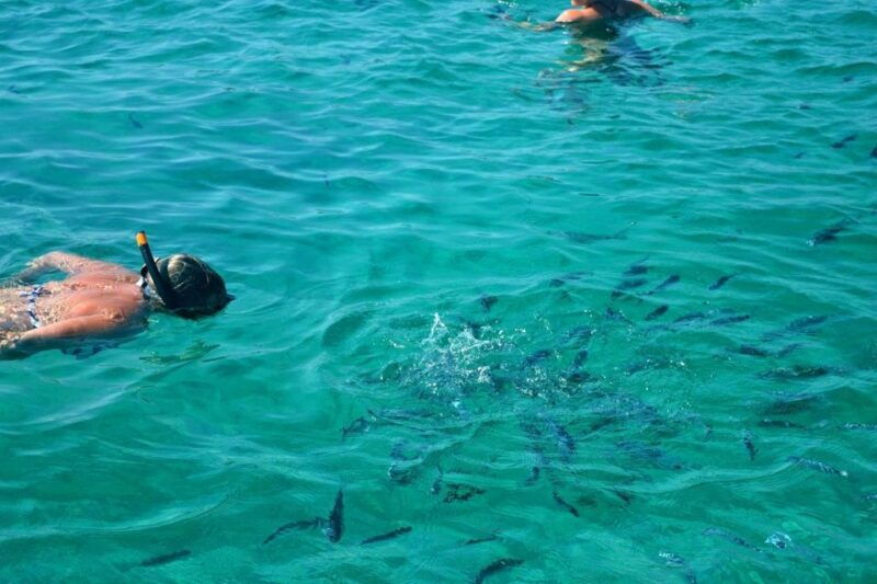 from-porto-vecchio-lavezzi-archipelago-sightseeing-cruise