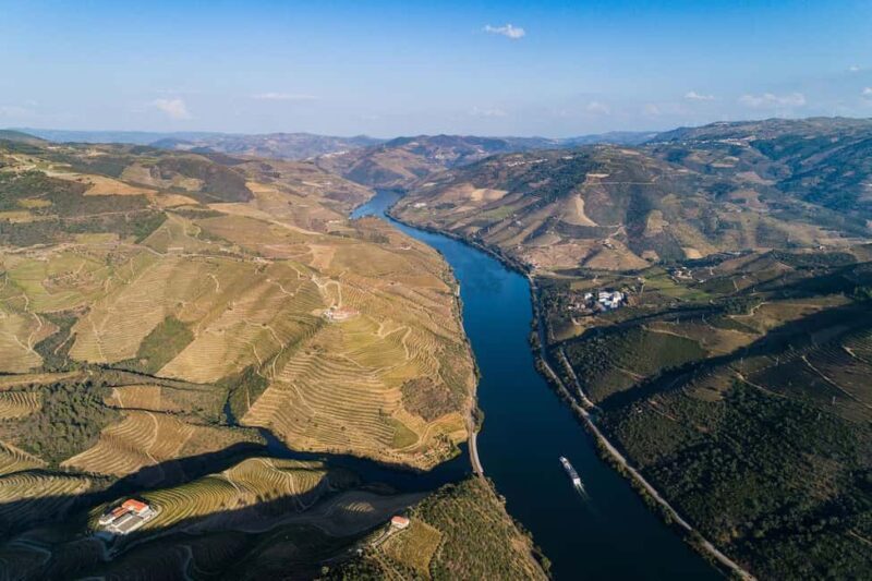 From Porto: Wine Tasting with Lunch at a Farm and Cruise - Exploring the Douro Valley From Porto