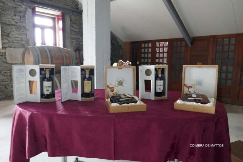 From Porto: Wine Tasting with Lunch at a Farm and Cruise - Authentic Experiences and Hidden Gems