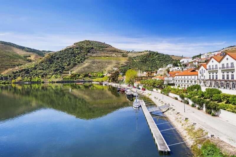 From Porto: Wine Tasting with Lunch at a Farm and Cruise - Who Will Love This Tour?