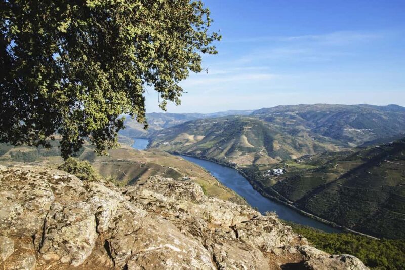 From Porto: Wine Tasting with Lunch at a Farm and Cruise - FAQ