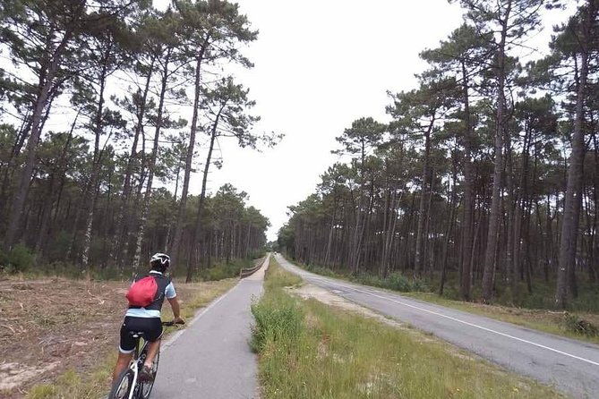 from-porto-with-view-to-gaia-private-bike-tour-ducksideofporto
