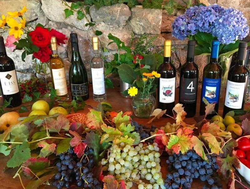 from-positano-amalfi-coast-tour-and-wine-tasting-with-lunch