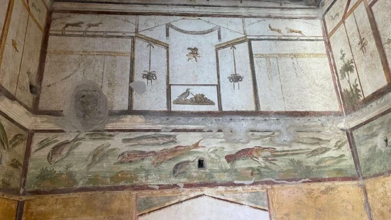 from-positano-pompeii-vesuvius-tour-small-group-2
