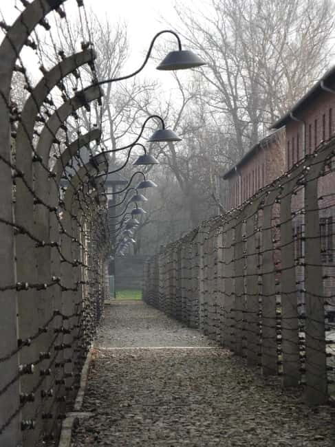 From Prague: Auschwitz-Birkenau Memorial Private Tour - The Value of a Private Tour