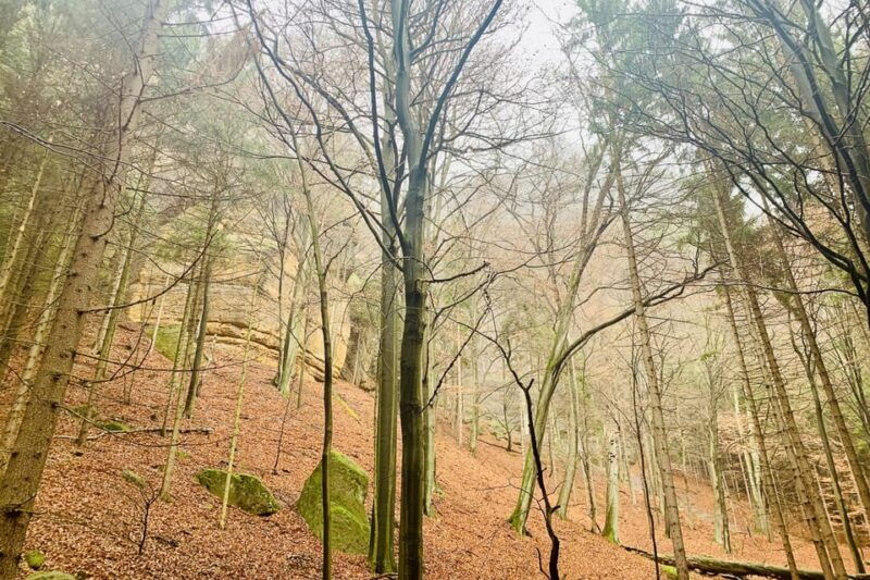 from-prague-bohemian-and-saxon-switzerland-full-day-tour