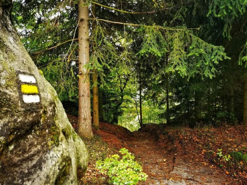 from-prague-bohemian-paradise-full-day-hiking-trip