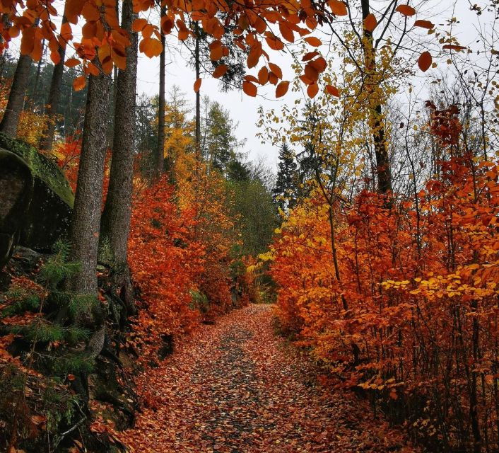 from-prague-bohemian-paradise-full-day-hiking-trip