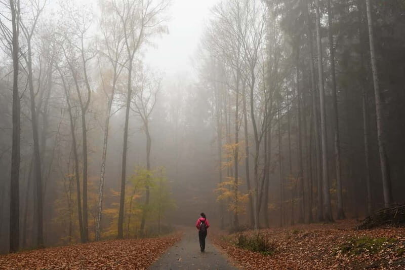 From Prague: Hike the Hidden Valleys of Bohemian Paradise - The Sum Up