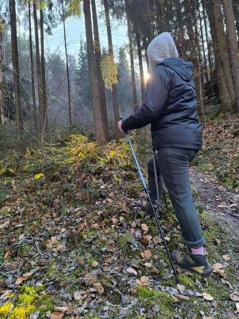 From Prague: Hiking Tour of the Beauties of Kokoín - A Scenic Journey into the Heart of Bohemia