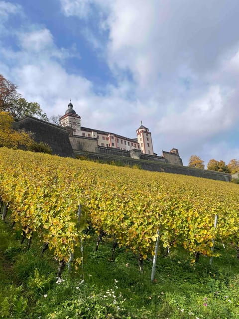 from-prague-private-half-day-wine-tour
