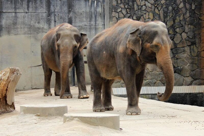 from-prague-private-tour-to-liberec-and-jested-tower