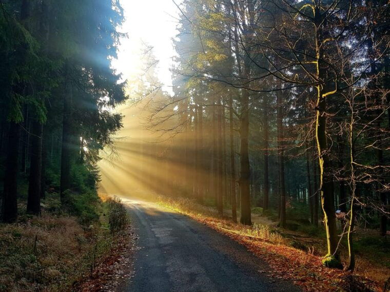 from-prague-private-tour-to-liberec-and-jested-tower