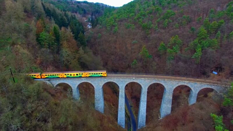 from-prague-sazava-river-canoe-day-trip-for-all-levels