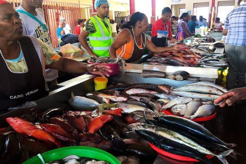 From Praia: Full-Day São Vicente Island Tour - What’s Included and What to Keep in Mind