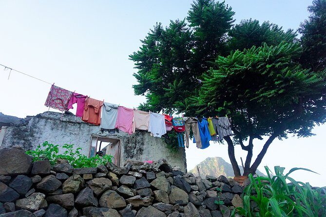 From Praia: Serra Malagueta to Principal Valley Hike & Lunch with a Local Family - Who Is This Tour Best For?