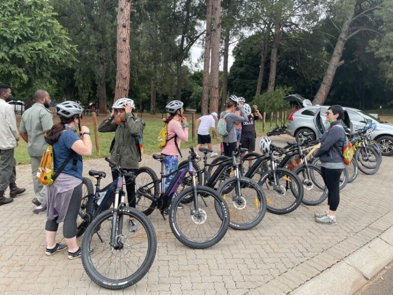 From Pretoria: E-Bike in the wild with game near Jo'burg - Key Points