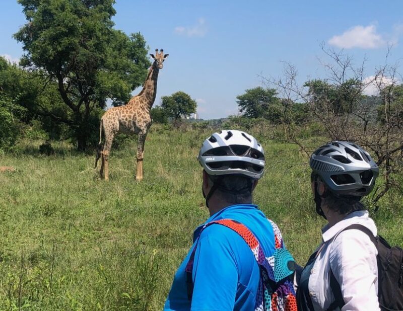 From Pretoria: E-Bike in the wild with game near Jo'burg - The Itinerary: What You Can Expect