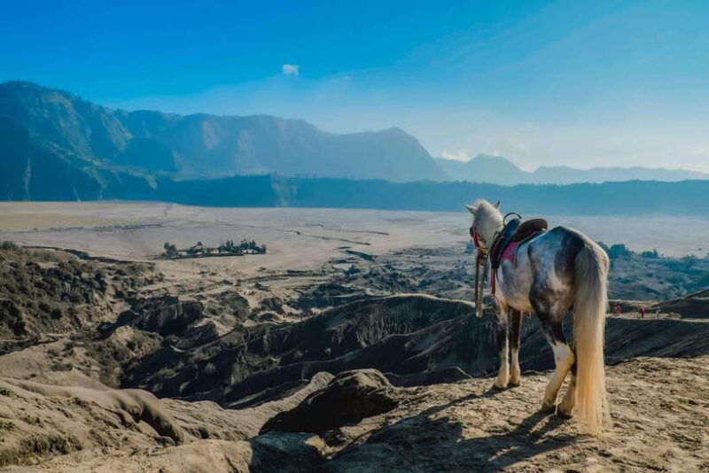 from-probolinggo-2-day-bromo-ijen-tour-w-one-night-stay