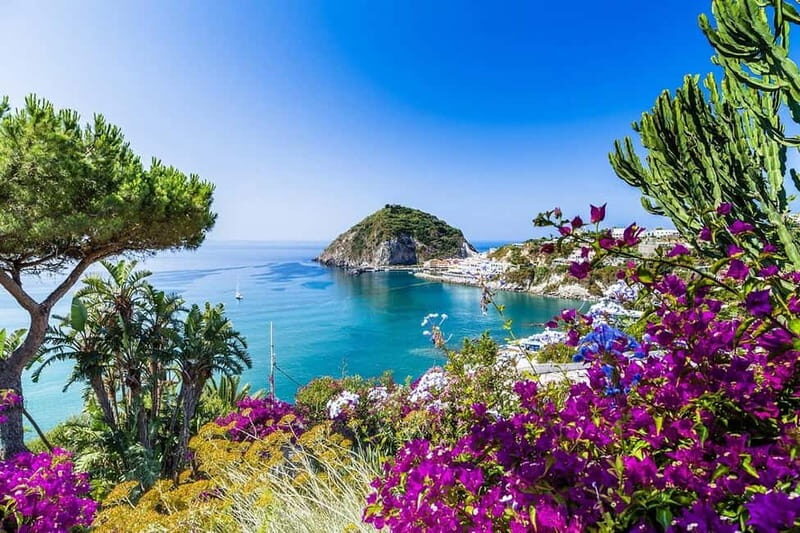 From Procida: Ischia Relax Thermal Park+ Visit to Sant Angelo+ Transfers - Who Will Enjoy This Tour?