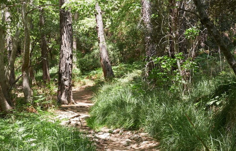 From Protaras: Full-Day Grand tour Jeep Safari with Lunch - Final Thoughts: Who Will Love This Tour?