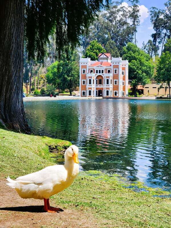 From Puebla: CHAUTLA & VAL'QUIRICO PRIVATE TOUR - Why This Tour Works