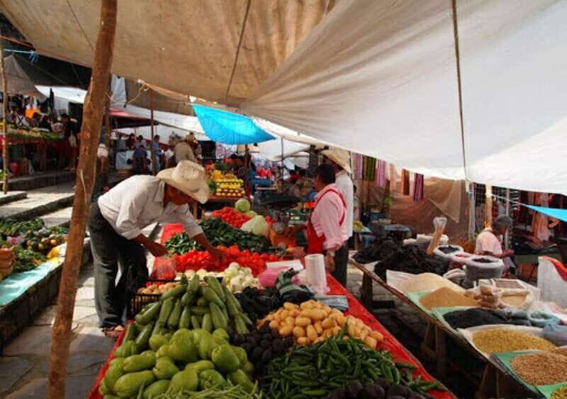 From Puebla: Cuetzalan & Yohualichan private all included - Summary of the Experience