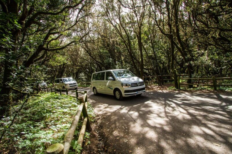 from-puerto-de-la-cruz-full-day-vip-tour-to-gomera