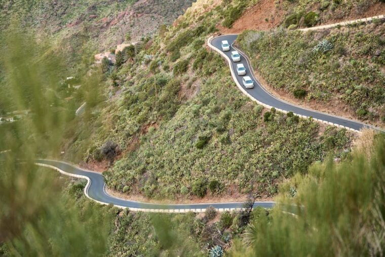 from-puerto-de-la-cruz-full-day-vip-tour-to-gomera