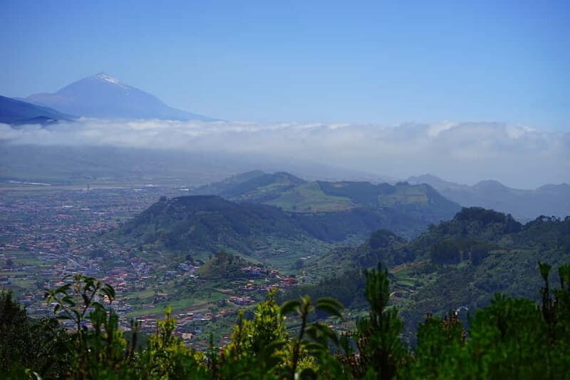 From Puerto de La Cruz: VIP Tour Around Anaga and La Laguna - Key Points