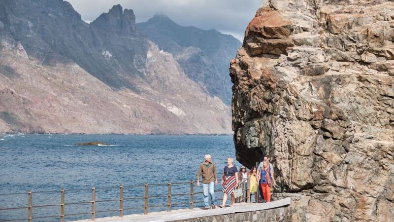 from-puerto-de-la-cruz-vip-tour-around-anaga-and-la-laguna